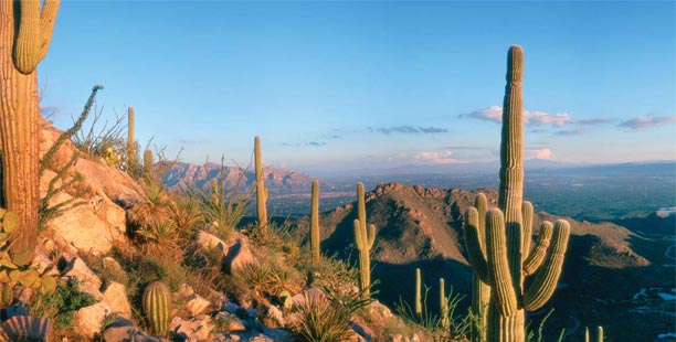 Garner Group Properties, Tucson Real Estate